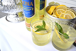 SHOWER THE BRIDE AND GROOM